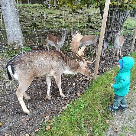 Haus Steiner - Ruhige, Bewertete In - Schwarzwald Lauterbach (Baden-Wurttemberg)