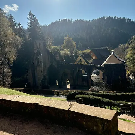 شقة Ruhige, Top Bewertete Ferienwohnung In Lauterbach - Schwarzwald