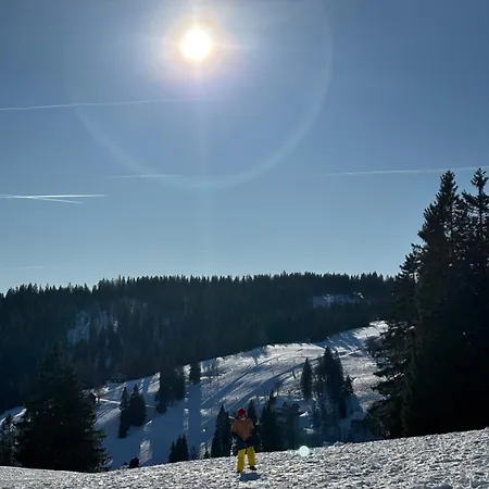 Haus Steiner #mitten Im Schwarzwald# דירה