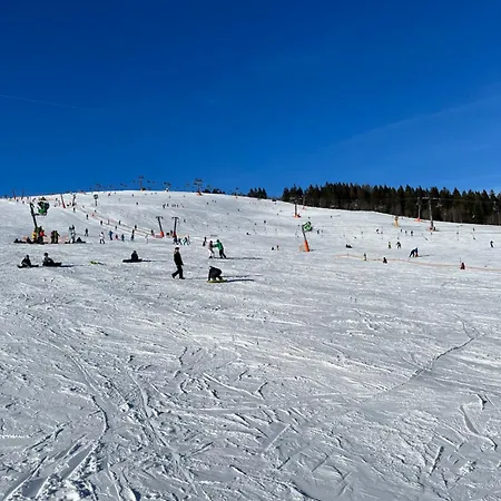 Haus Steiner - Ruhige, Bewertete In - Schwarzwald Apartman *