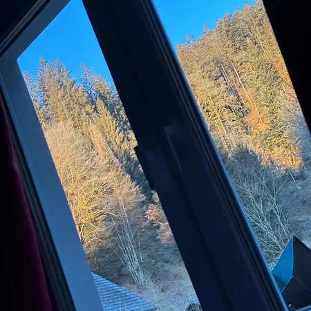 Ruhige, Top Bewertete Ferienwohnung In Lauterbach - Schwarzwald *