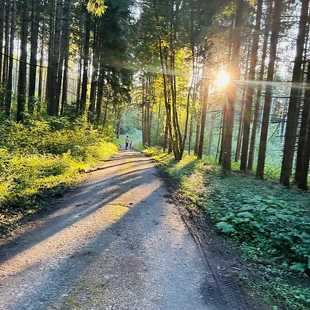 Ruhige, Top Bewertete Ferienwohnung In Lauterbach - Schwarzwald * لاوترباخ