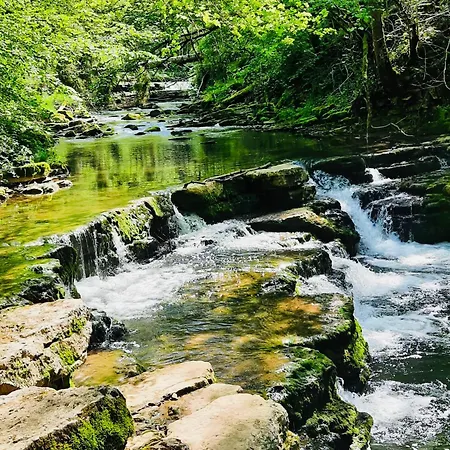 Ruhige, Top Bewertete Ferienwohnung In Lauterbach - Schwarzwald