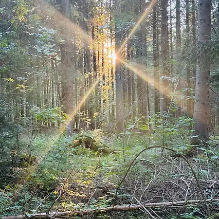 Ruhige, Bewertete In - Schwarzwald Apartmán