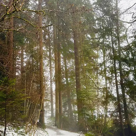 Lägenhet Haus Steiner - Ruhige, Bewertete In - Schwarzwald